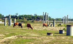 Siêu dự án thép: Những chiếc bánh vẽ ‘bốc mùi’