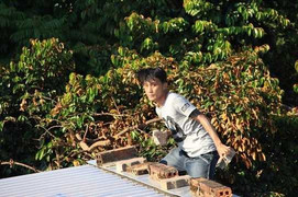 Thanh niên ngáo đá làm loạn cả khu phố