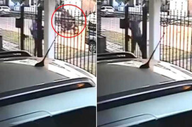 Clip: Phụ nữ nhanh trí chiến thắng tên cướp ngoạn mục