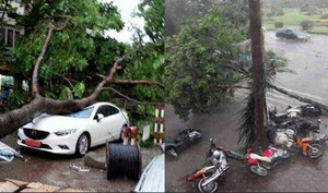 Clip: Hà Nội tan hoang sau cơn dông