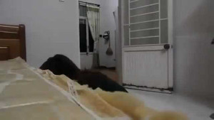 Bắt quả tang vợ vào nhà nghỉ, tống tiền 220 triệu đồng