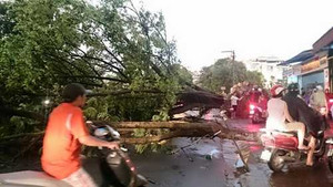 Cuồng phong ở Hà Nội: Khắc phục sự cố mất điện diện rộng
