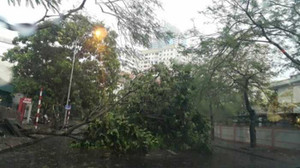 Bắc Bộ đề phòng mưa dông, tố lốc kinh hoàng