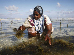 13 quốc gia kinh tế tăng trưởng tốt mà dân vẫn nghèo khổ