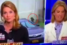 Clip: Bi hài cảnh tuồn hàng lậu vô tình lọt vào bản tin phát trực tiếp