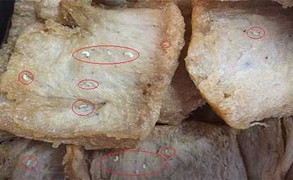 Kinh hoàng thực phẩm chay lúc nhúc giòi