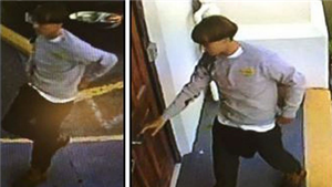 Mỹ bắt khẩn cấp nghi phạm xả súng gây chấn động