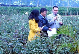 Clip: Bài ca vui nhộn của phóng viên 3N - VTC16