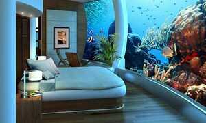 Những ý tưởng 'điên rồ' của nhà giàu