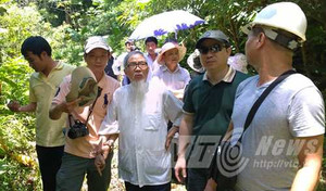 Người giời trồng 'cây thuốc giấu' và sự thực về tên núi Ngọc Linh