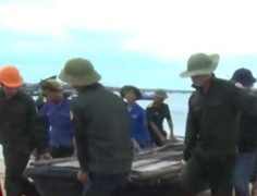 Hàng loạt chuyến bay bị điều chỉnh vì bão số 1