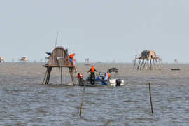 Thái Bình tổn thất nặng nề sau bão