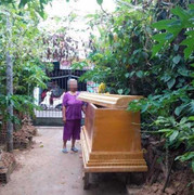 Chuyện buồn con mua quan tài biếu bố mẹ