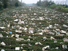 Sự thật đáng sợ ở 10 ngôi làng ung thư của Việt Nam