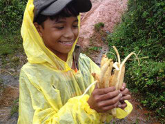 Chuyện thú vị ở thung lũng sâm đắng