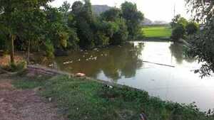 Bố mẹ ngất lịm khi thấy thi thể 3 con dưới ao nhà