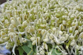 Những thực phẩm nguy hiểm nhất trong mùa hè