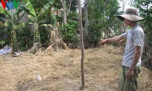 Trộm gà bị đuổi đánh, tức giận đốt hàng chục cây rơm