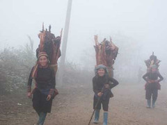 Sa Pa chuyển rét bất thường giữa mùa hè, người dân ngỡ ngàng