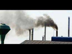 Chết sặc vì khói nhà máy phân bón