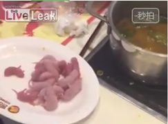 Clip: Sốc với món lẩu chuột bao tử ở nhà hàng Trung Quốc