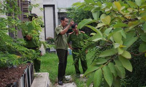 Thảm sát kinh hoàng ở Bình Phước: Xuất hiện nhiều nghi vấn