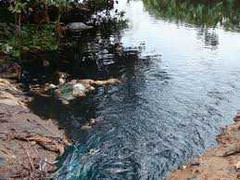 Hãi hùng nước thải sinh hoạt nhuộm đen dòng kênh