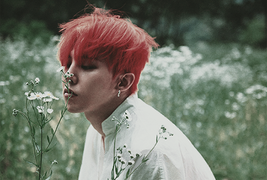 Những bí mật của idol K-pop chỉ có fan cứng mới biết