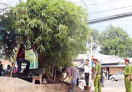 Video: Cảnh sát lục tung quanh khu biệt thự 6 người bị thảm sát