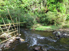 Thảm án 4 người chết tại Nghệ An: Bộ Công an tăng cường lực lượng điều tra