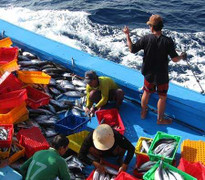 Tàu Trung Quốc liên tục tấn công tàu Việt Nam, ngày càng thô bạo