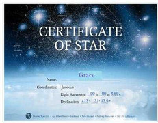 Những lần fan Việt