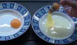 Video: 7 thí nghiệm cực lạ với trứng bạn nên thử