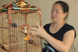 Giải mã dị nhân 'nói chuyện' với các loài vật