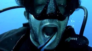 Clip: Tròn mắt xem cá dọn bể 'vệ sinh răng miệng' cho thợ lặn dưới đại dương