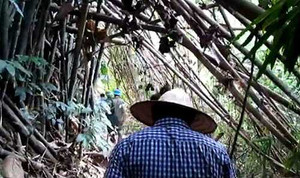 Thảm án 4 người chết ở Nghệ An: Hung thủ vẫn bí ẩn