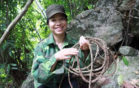 Lương y xinh đẹp và khu rừng dị thảo cường dương