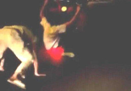 'Quái xế' Hà Nội trổ tài bốc đầu xe, ngã xuống đường thảm hại