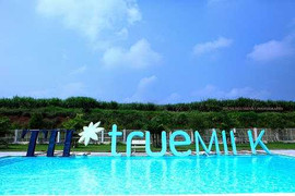 Doanh thu ngàn tỷ, TH True Milk vẫn nợ chục tỷ đồng tiền thuế