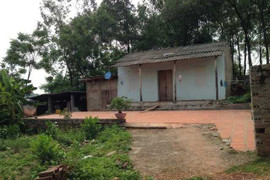 Đang ngủ trưa, một phụ nữ bị hàng xóm vào nhà làm nhục