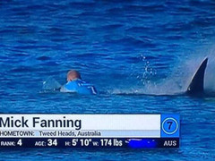 Clip: Cá mập tấn công VĐV lướt sóng ngay trên sóng truyền hình