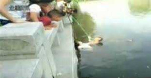 Dân mạng lên án phép thử 'cứu mẹ hay cứu vợ'