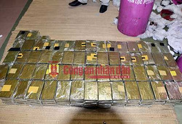 Triệt phá đường dây ma túy 'khủng', thu giữ gần 500 bánh heroin