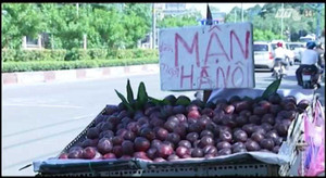 Tràn lan mận Trung Quốc đội lốt mận Hà Nội ở TP.HCM