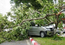 Đâm đổ cây xanh giữa phố Hà Nội, đầu xe ô tô nát vụn