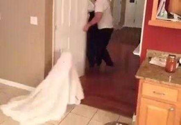 Cười vỡ bụng những tai nạn hài hước của trẻ em