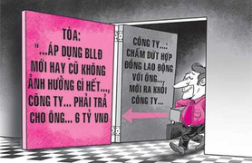 Đơn phương chấm dứt hợp đồng, công ty bồi thường gần 6 tỷ đồng