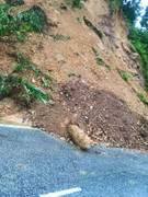 Mưa lũ sạt lở, bom 350kg trôi chắn ngang quốc lộ 3