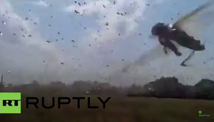 Hãi hùng cảnh hàng trăm ngàn con châu chấu nhuộm đen bầu trời Nga