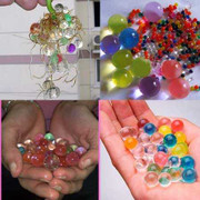 Dân Hà thành mê mệt đất ‘kim cương’ sắc màu trồng cây cảnh